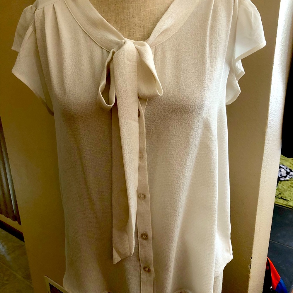 Sweet Wanderer pussy bow blouse